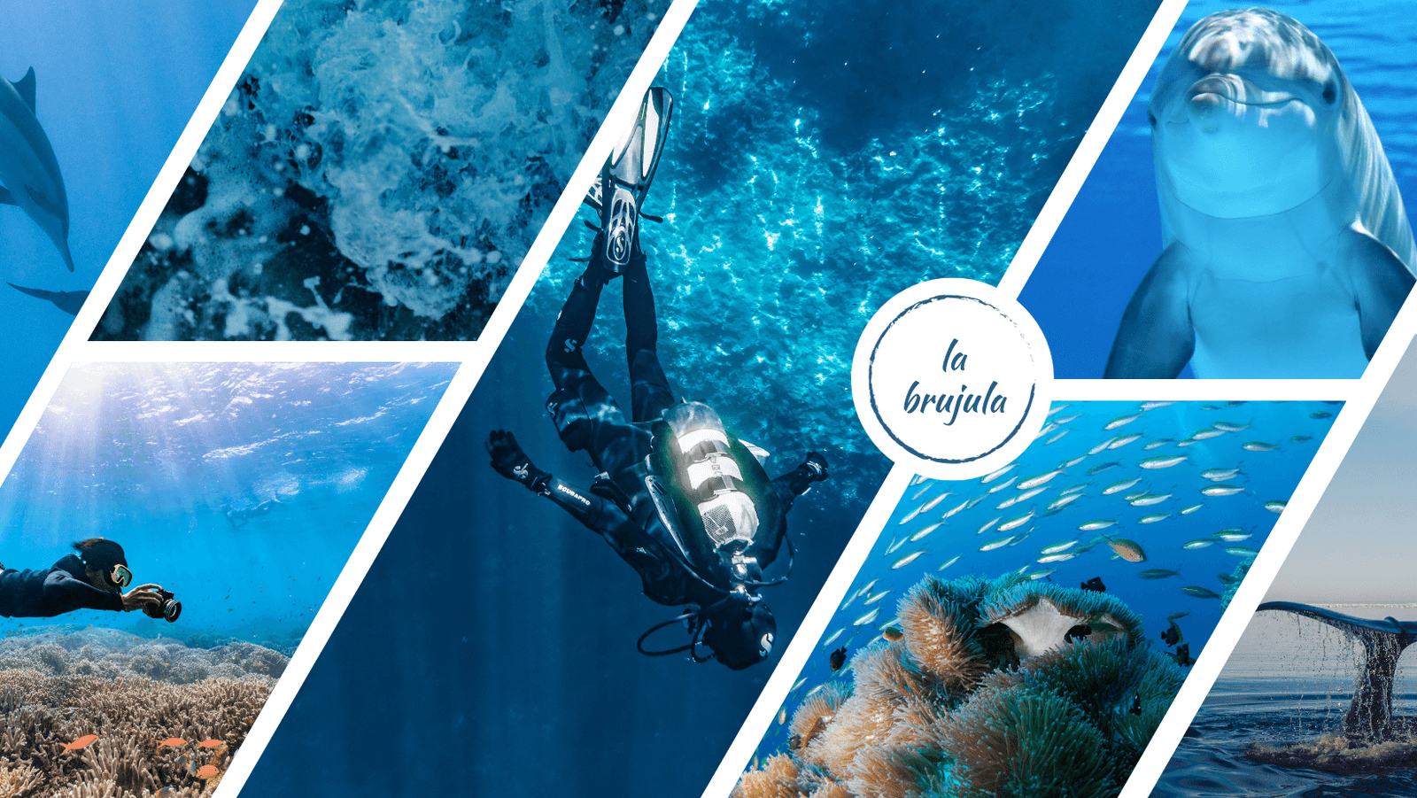 Blue Underwater Life Moodboard Facebook Cover(1)